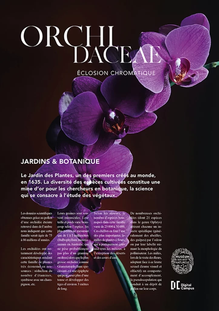 Couverture d'article de magazine avec le musée d'histoire naturelle, orchidée violette en arrière plan avec un fond sombre, mise en page du texte sur le bas
